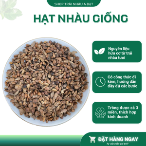 50gr hạt Nhàu giống