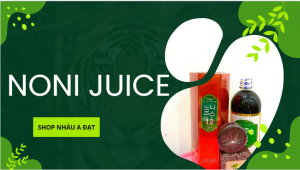 Noni Juice Viet Nam Supplier