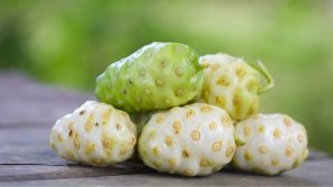 Tác dụng của nước trái nhàu đối với sức khỏe