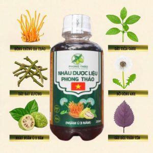 Uống Nước Cốt Nhàu Có Tốt Không? Chuyên Gia Giải Đáp