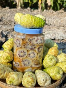 Trái Nhàu Ngâm Đường Là Gì? Cách Làm Đơn Giản Tại Nhà