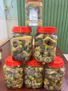 Cách Ngâm Trái Nhàu Với Đường Đúng Cách