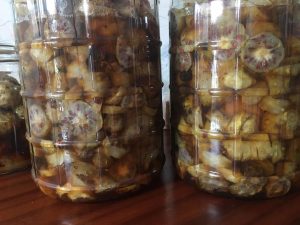 Trái Nhàu Ngâm Mật Ong
