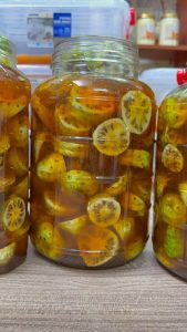 Trái Nhàu Ngâm Mật Ong Để Được Bao Lâu? Cách Bảo Quản