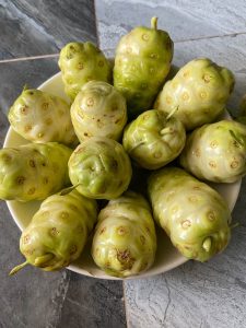 công dụng trái nhàu