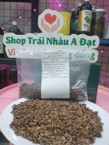 cách trồng cây nhàu